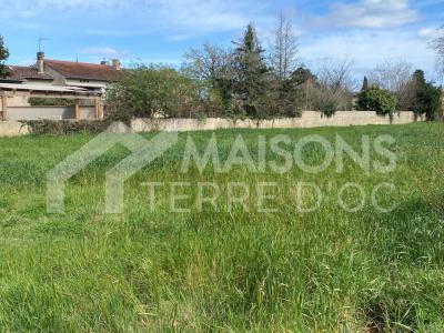 Annonce Vente Maison Labruguiere 81