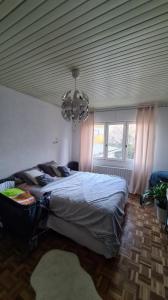 Louer Appartement Saint-nicolas-de-port Meurthe et moselle