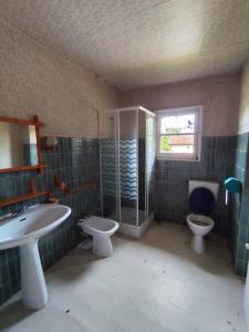 Acheter Maison 230 m2 Saint-julien-en-born