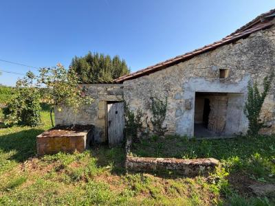 Annonce Vente Maison Romagne 33