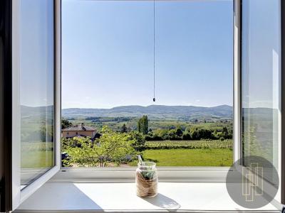 Acheter Maison Anse 460000 euros