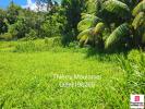 For sale Land Trinite  11914 m2