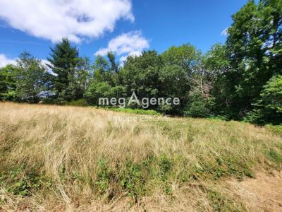 Annonce Vente Terrain Lacrouzette 81