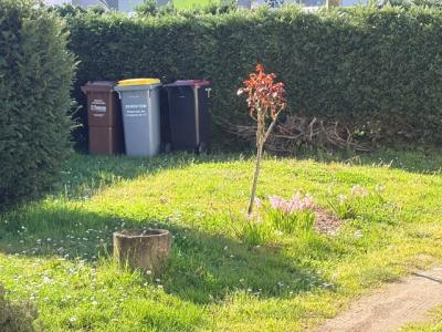 For rent Saint-loubes 1 room 15 m2 Gironde (33450) photo 4