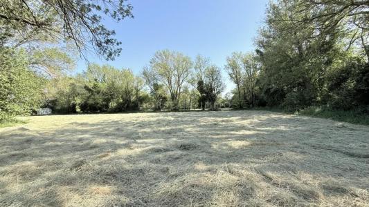 For sale Fontvieille 5 rooms 117 m2 Bouches du Rhone (13990) photo 2