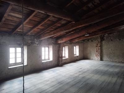 For sale 10 rooms 300 m2 Loire (42520) photo 1