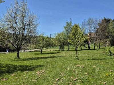 Annonce Vente Terrain  67