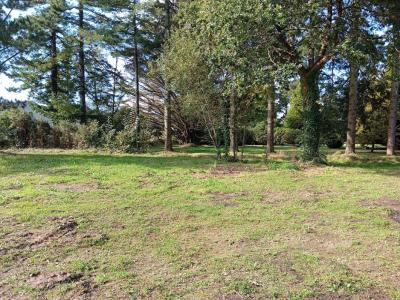 Annonce Vente Terrain Moelan-sur-mer 29