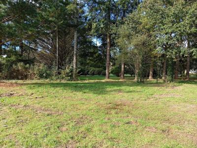 Acheter Terrain 413 m2 Moelan-sur-mer