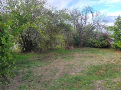 For sale Ares 321 m2 Gironde (33740) photo 0