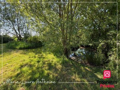 Annonce Vente 2 pi�ces Maison Montret 71