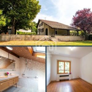 Annonce Location 6 pi�ces Maison Gex 01