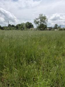 For sale Coutras 1000 m2 Gironde (33230) photo 0