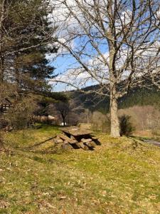 Annonce Vente 10 pi�ces Maison Tence 43