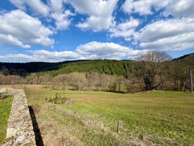 Acheter Maison 398 m2 Tence