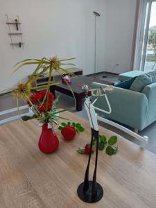Louer Appartement Furiani 860 euros