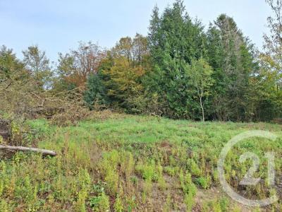 Annonce Vente Terrain Marles-sur-canche 62