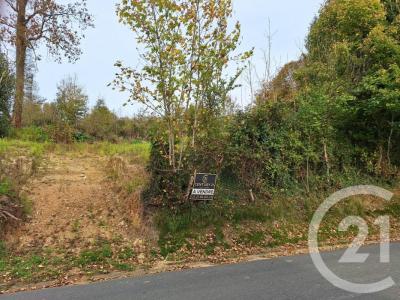 Acheter Terrain Marles-sur-canche Pas de calais