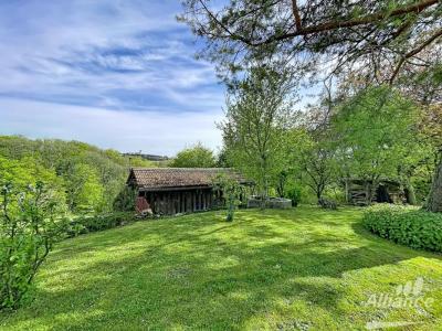 Annonce Vente 8 pi�ces Maison Meslieres 25