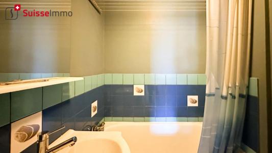 Acheter Appartement Valentigney 20000 euros
