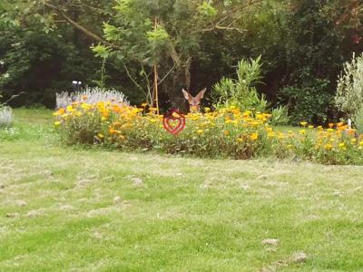 For sale Isle-en-dodon 4 rooms 130 m2 Haute garonne (31230) photo 0