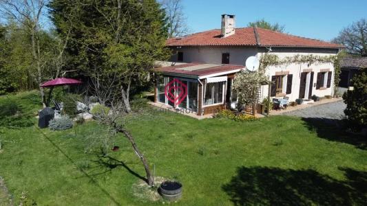 Acheter Prestige Isle-en-dodon Haute garonne