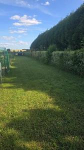Annonce Vente Terrain Neulliac 56