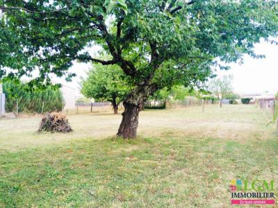 Annonce Vente Terrain Lagrave 81