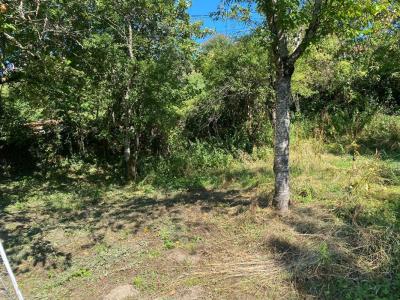 Annonce Vente Terrain Sombernon 21