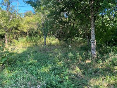 Acheter Terrain 1294 m2 Sombernon