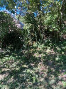 Acheter Terrain Sombernon 60000 euros