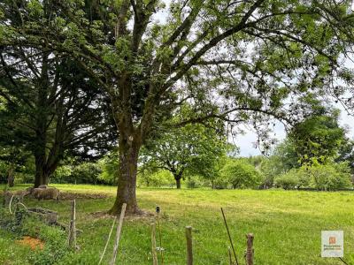 Acheter Maison Bouessay Mayenne