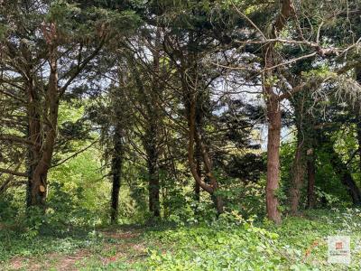 Acheter Maison Bouessay 228778 euros