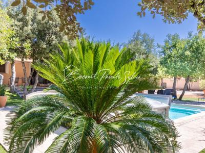 Annonce Vente 7 pi�ces Maison Saint-didier 84
