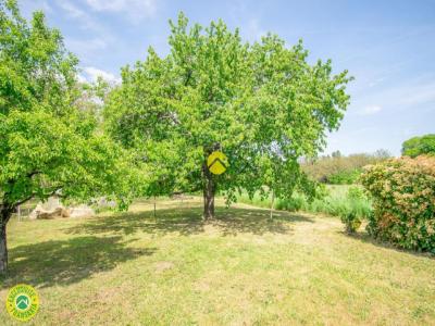 Annonce Vente 6 pi�ces Maison Buisson-de-cadouin 24
