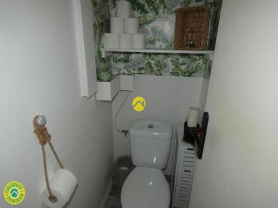 Acheter Maison Argent-sur-sauldre Cher