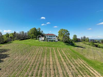 Annonce Vente 13 pi�ces Maison Pau 64