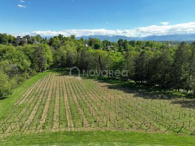 Acheter Maison 390 m2 Pau