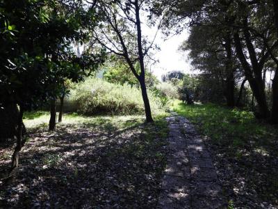 Annonce Vente Terrain Jard-sur-mer 85