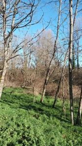 Acheter Terrain 