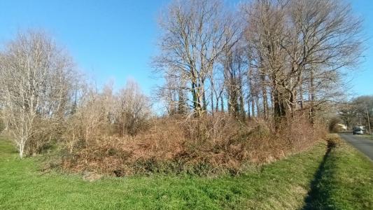 Acheter Terrain  14000 euros