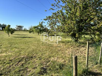 Annonce Vente 6 pi�ces Maison Vendin-le-vieil 62