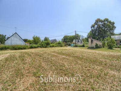 Annonce Vente Terrain Saint-gildas-des-bois 44