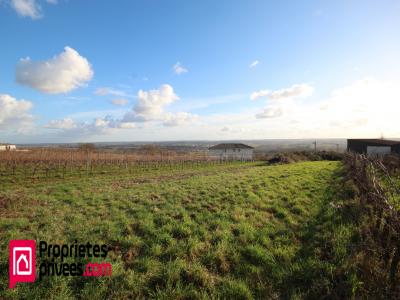 Acheter Terrain 1000 m2 Langon