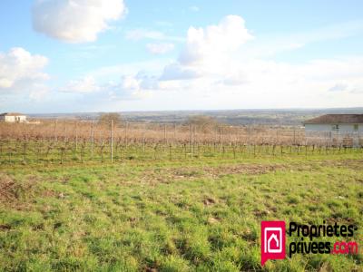 Acheter Terrain Langon Gironde