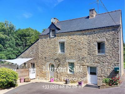 Annonce Viager 7 pi�ces Maison Caden 56