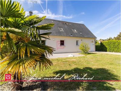 Annonce Vente 7 pi�ces Maison Chatillon-sur-cher 41