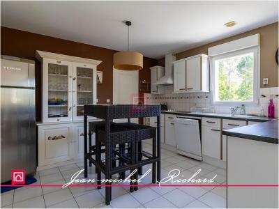 Acheter Maison Chatillon-sur-cher 250000 euros