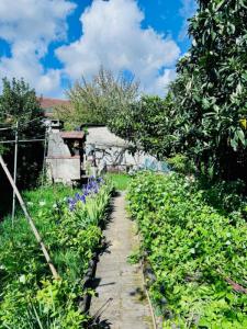 Annonce Vente 4 pi�ces Maison Villetaneuse 93