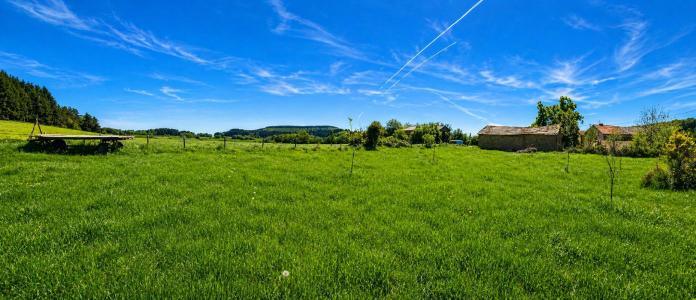 Annonce Vente Terrain Saint-just-en-chevalet 42